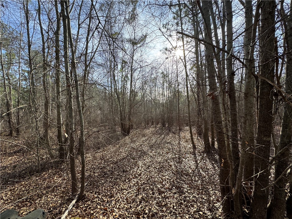 1816 Troy Road McCormick, SC 29835 - Photo 16 of 20