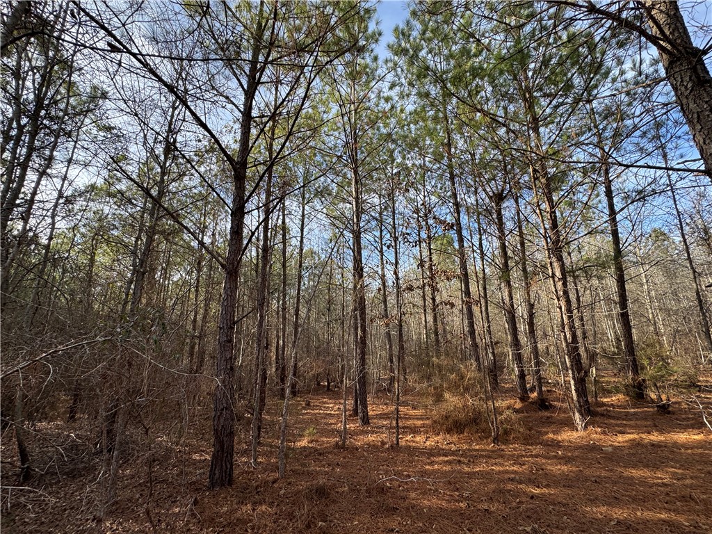 1816 Troy Road McCormick, SC 29835 - Photo 19 of 20