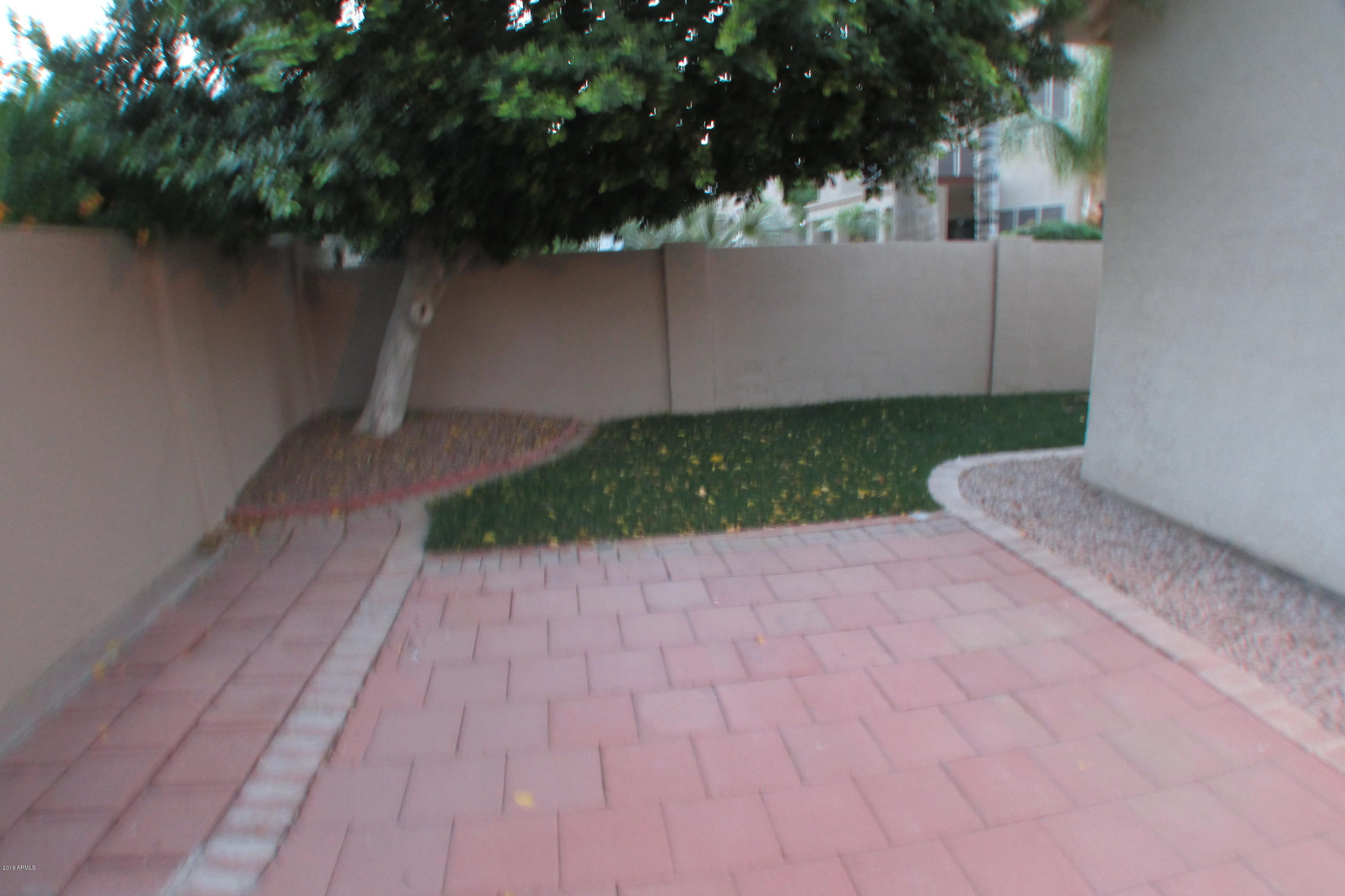 461 West Merrill Avenue Gilbert, AZ 85233 - Photo 21 of 23 IMG_6986