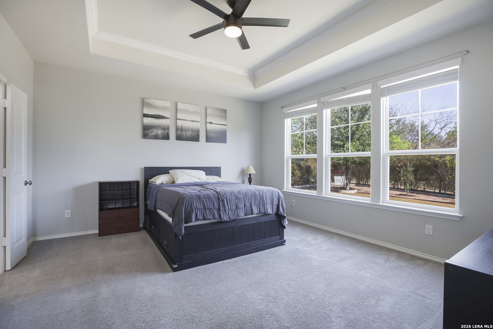 11638 Chalk Stem Schertz, TX 78154 - Photo 19 of 37 a bedroom with a bed and a window
