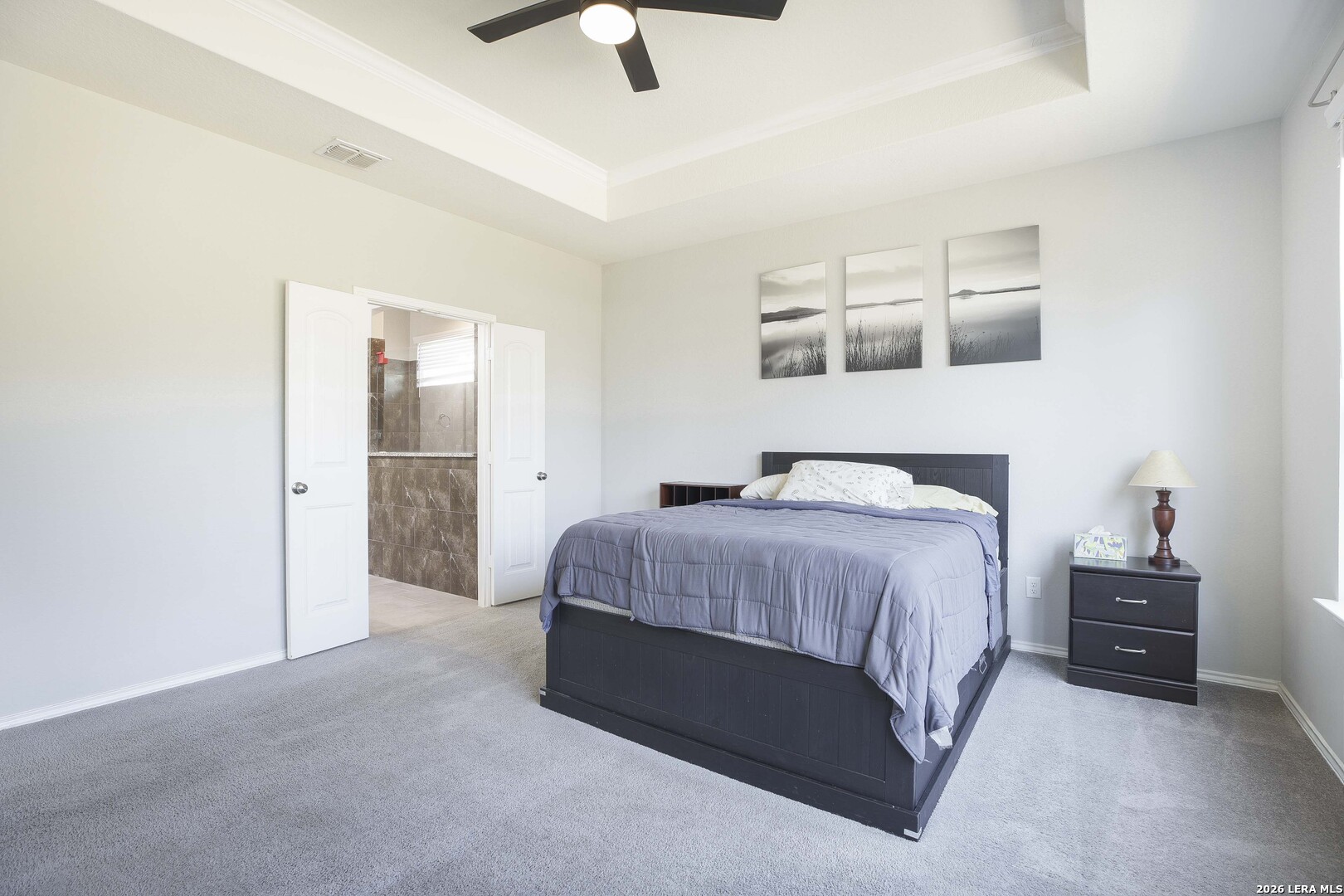 11638 Chalk Stem Schertz, TX 78154 - Photo 20 of 37 a spacious bedroom with a bed and a cabinets