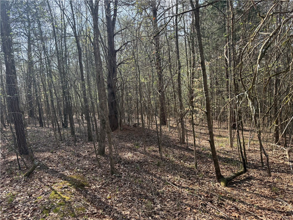 0 Holland Ford Road Pelzer, SC 29669 - Photo 24 of 35