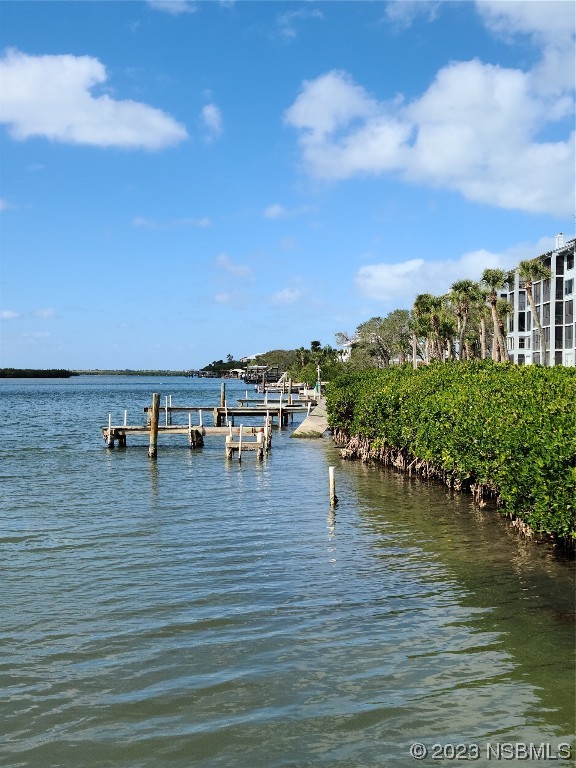 6544 Engram Road, Unit E203 New Smyrna Beach, FL 32169 - Photo 24 of 27 a view of ocean view