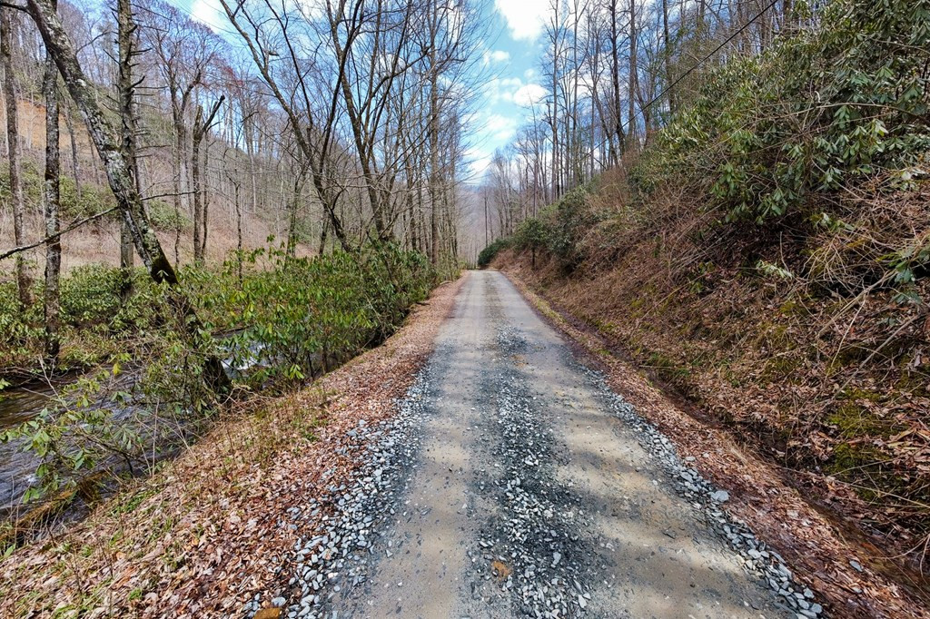 0 Little Snowbird Road Robbinsville, NC 28771 - Photo 3 of 19 Gallery Image 3