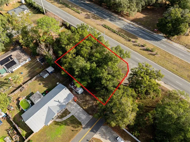 a view of a yard with potted plants