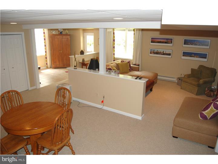 2232 Turk Road Doylestown, PA 18901 - Photo 10 of 25 Basement - Finished