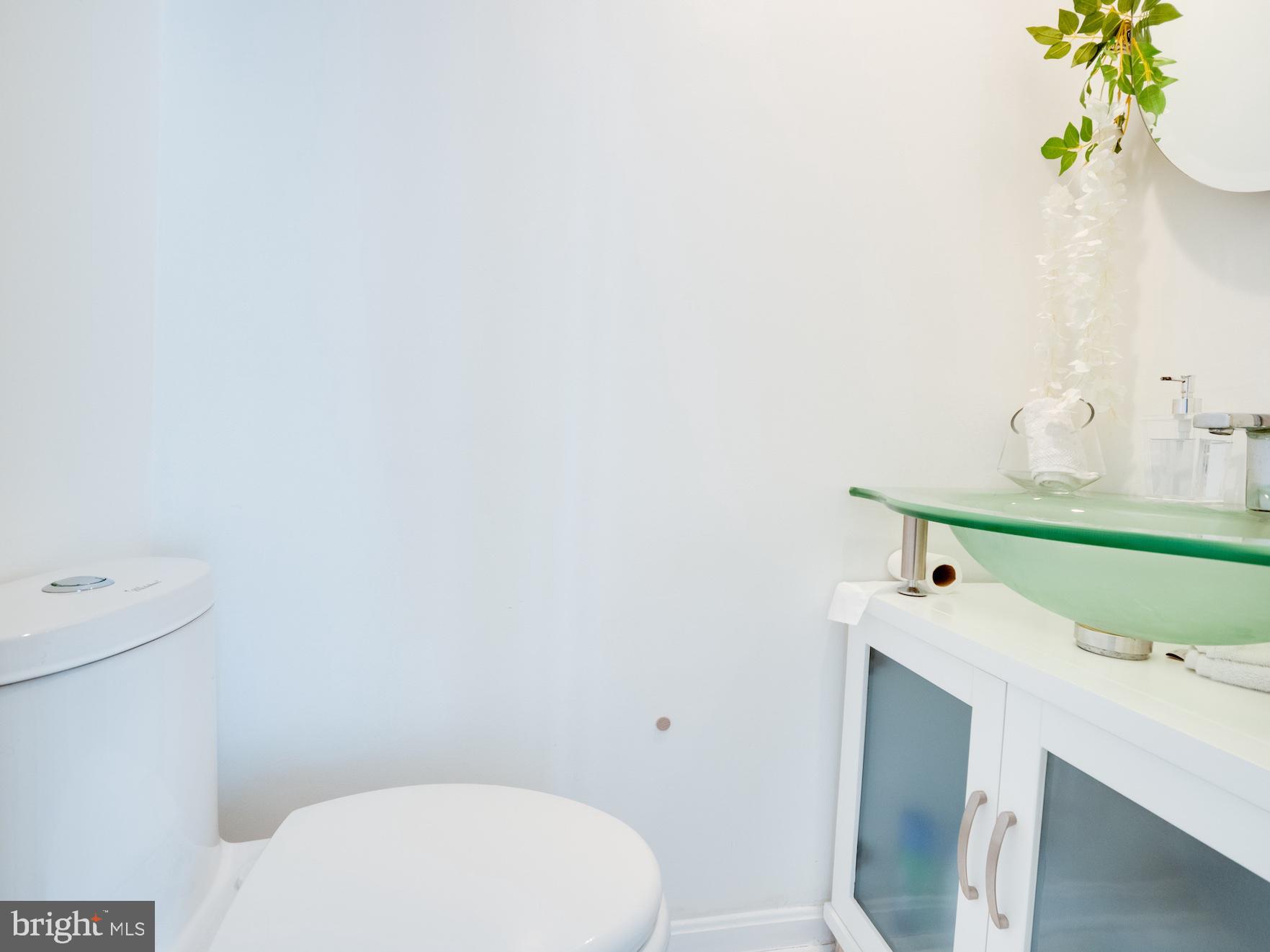 1677 Bayfield Way Reston, VA 20194 - Photo 18 of 47 Entry Level Half Bath with Whitehaus Collection