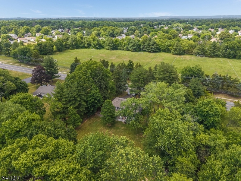 356 South Branch Road Hillsborough, NJ 08844 - Photo 42 of 45