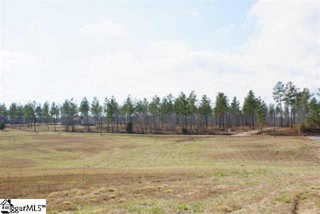 Lot 7 Stewart Dairy Road Fountain Inn, SC 29644 - Photo 1 of 1