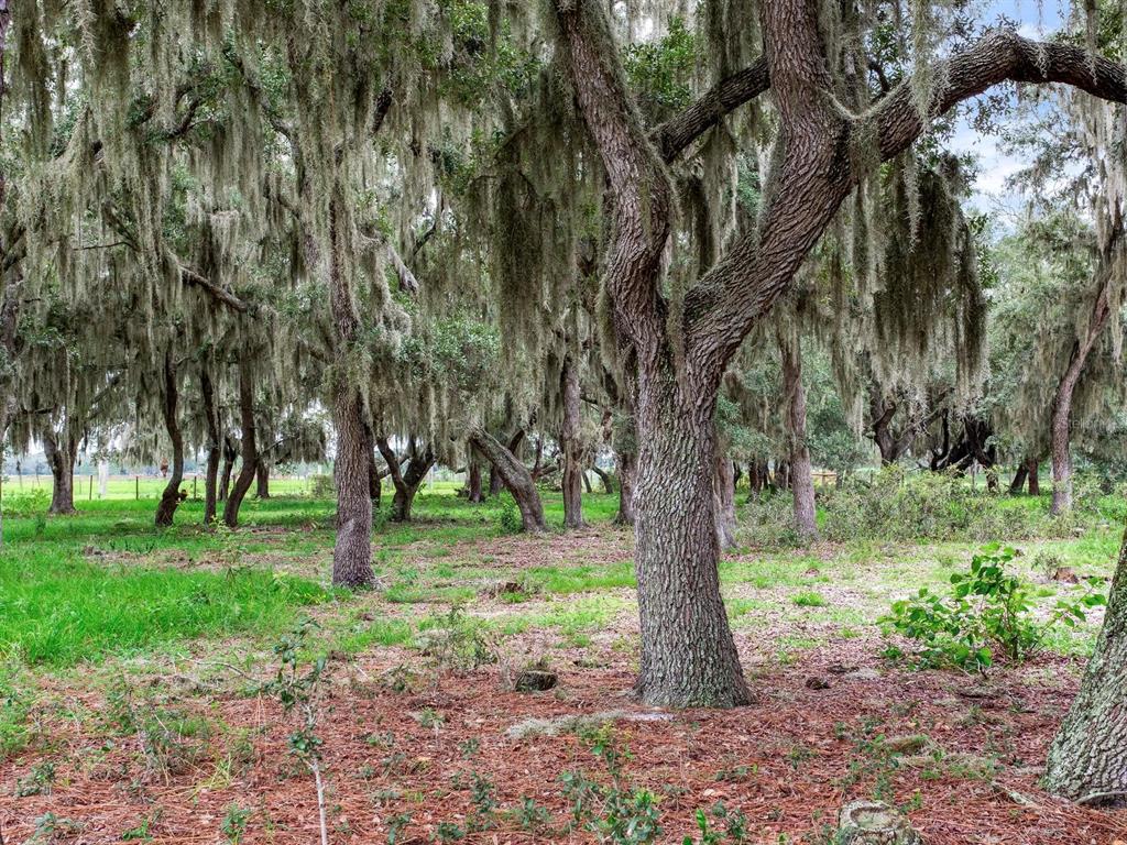 Lake Buffum Road North Lake Wales, FL 33859 - Photo 13 of 23 Gallery Image 13