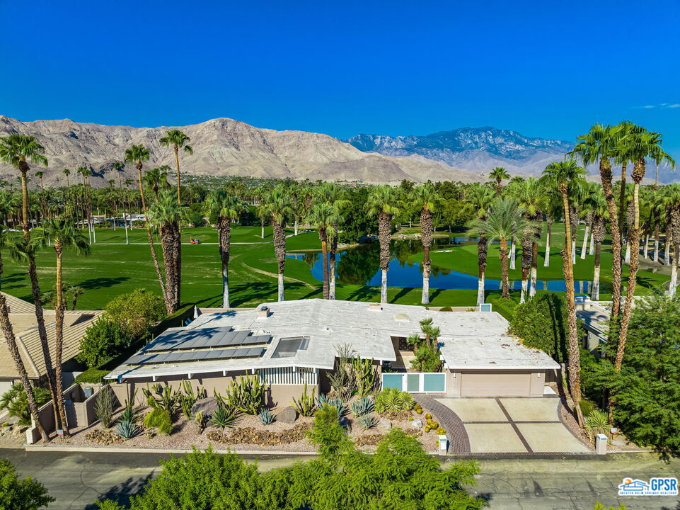 a view of a garden with a large tree