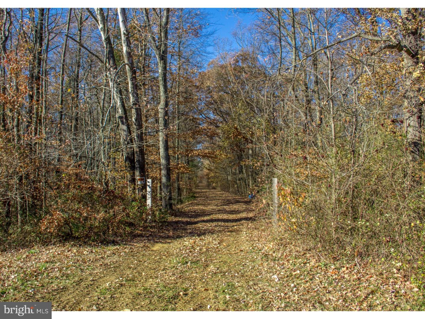 Lot #3 Pine Tree Road Townsend, DE 19734 - Photo 2 of 15 Gallery Image 2