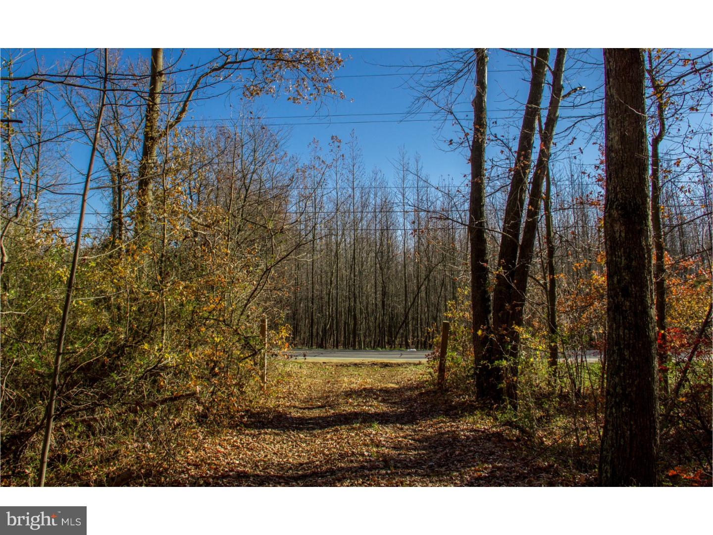 Lot #3 Pine Tree Road Townsend, DE 19734 - Photo 3 of 15 Gallery Image 3