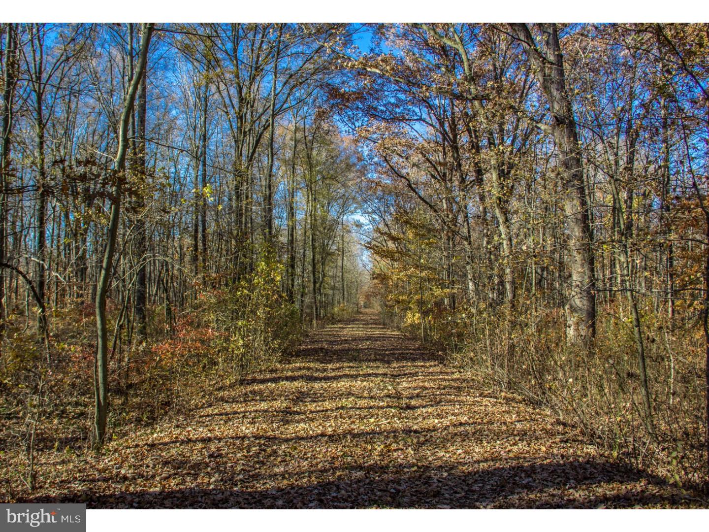Lot #3 Pine Tree Road Townsend, DE 19734 - Photo 4 of 15 Gallery Image 4