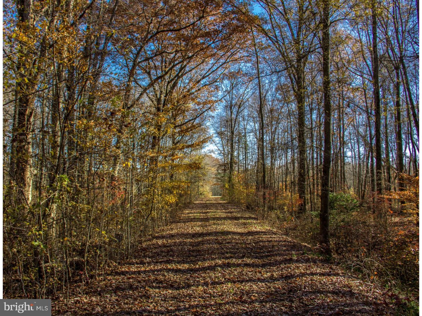 Lot #3 Pine Tree Road Townsend, DE 19734 - Photo 5 of 15 Gallery Image 5