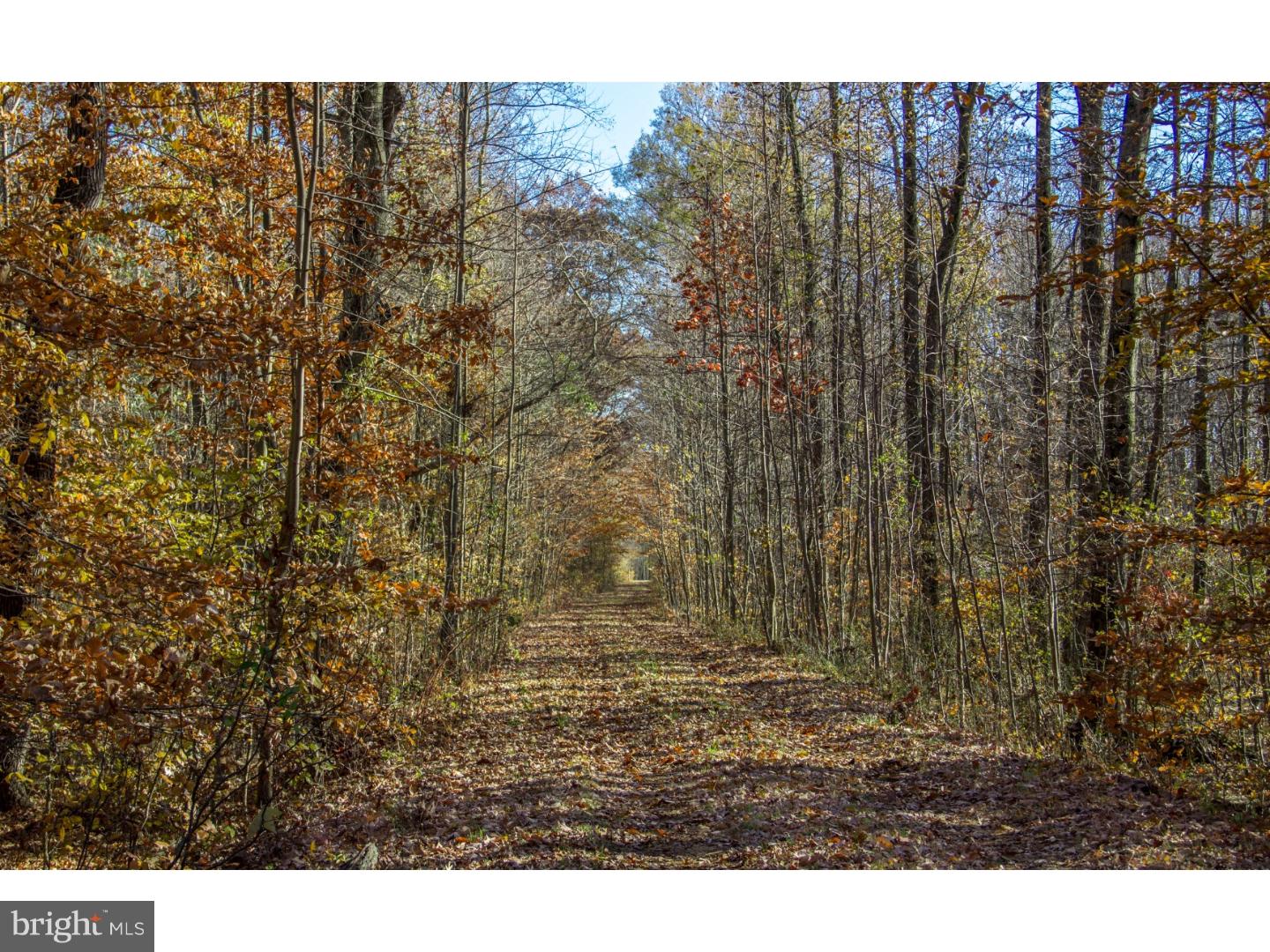 Lot #3 Pine Tree Road Townsend, DE 19734 - Photo 6 of 15 Gallery Image 6