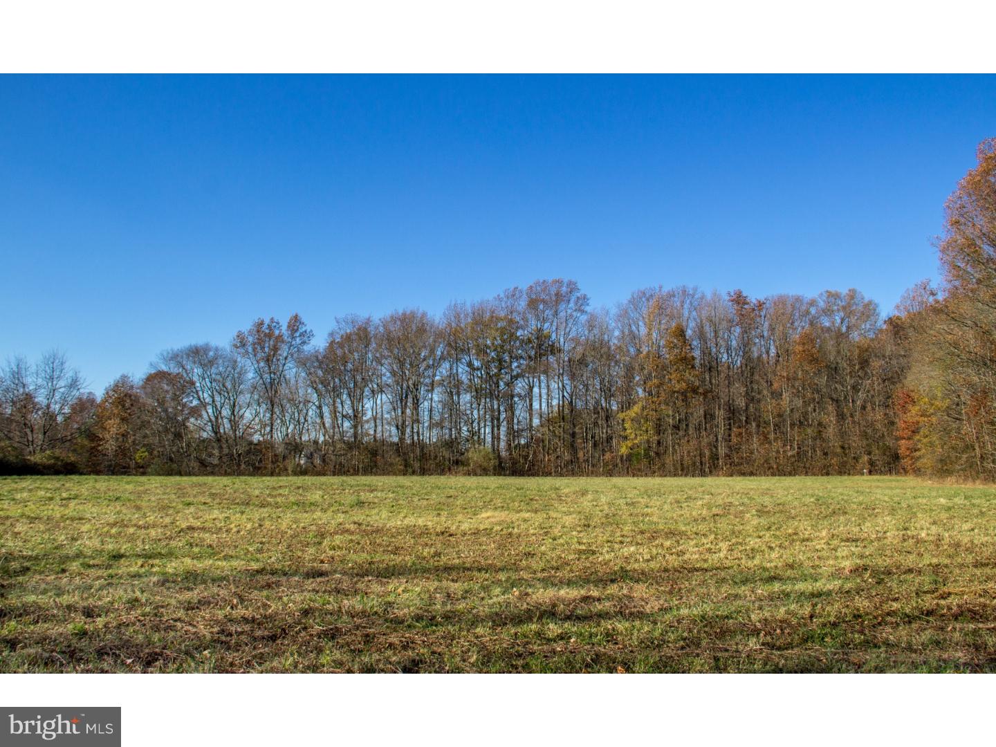 Lot #3 Pine Tree Road Townsend, DE 19734 - Photo 8 of 15 Gallery Image 8