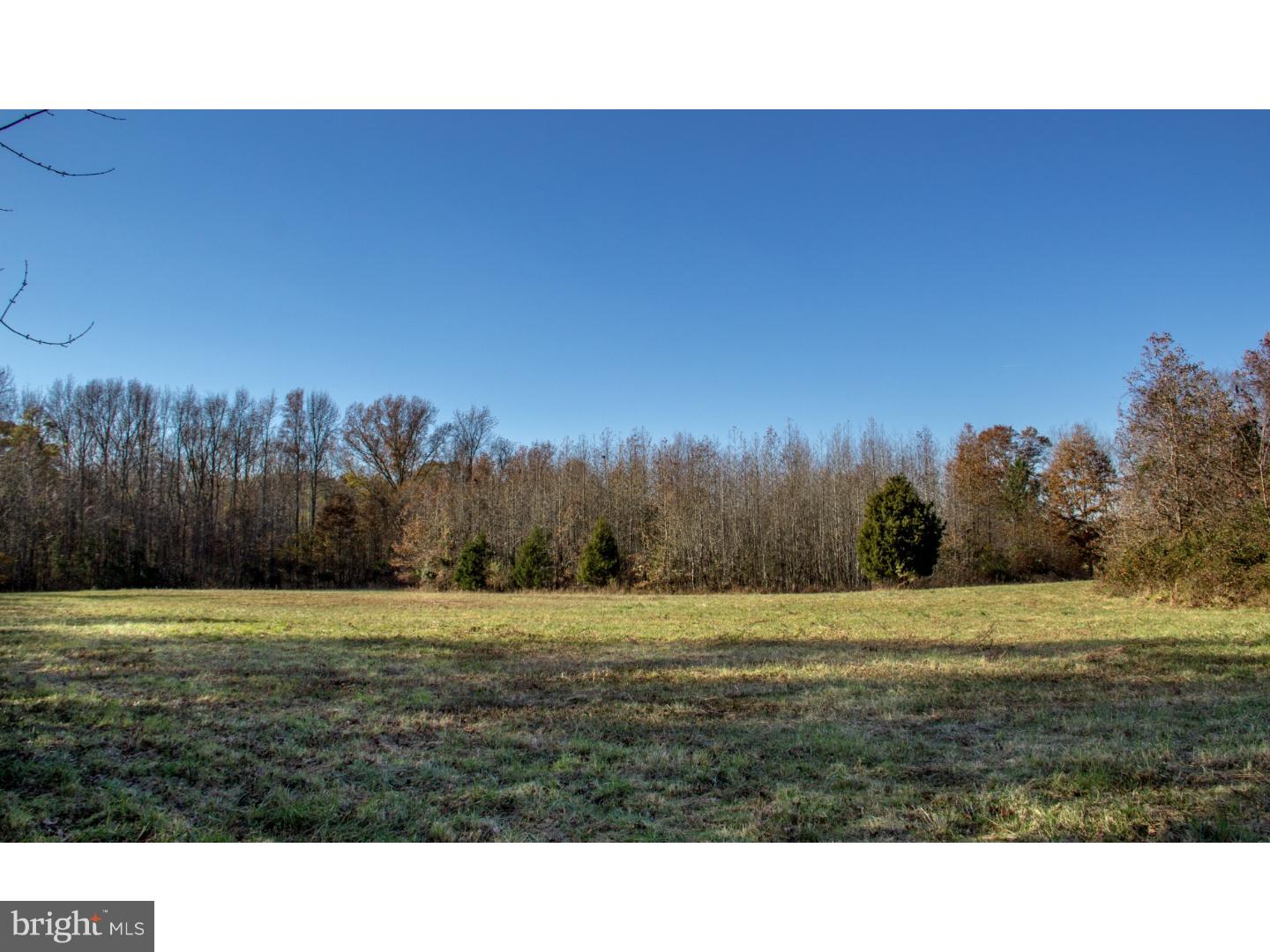 Lot #3 Pine Tree Road Townsend, DE 19734 - Photo 10 of 15 Gallery Image 10