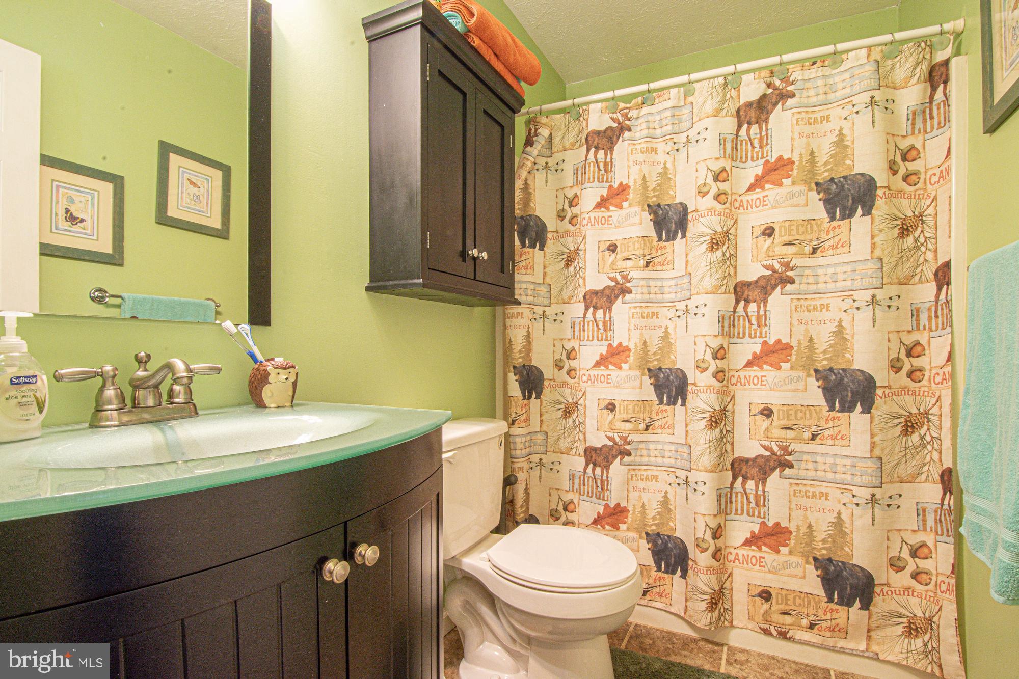 25 Cappy Road Linden, VA 22642 - Photo 36 of 41