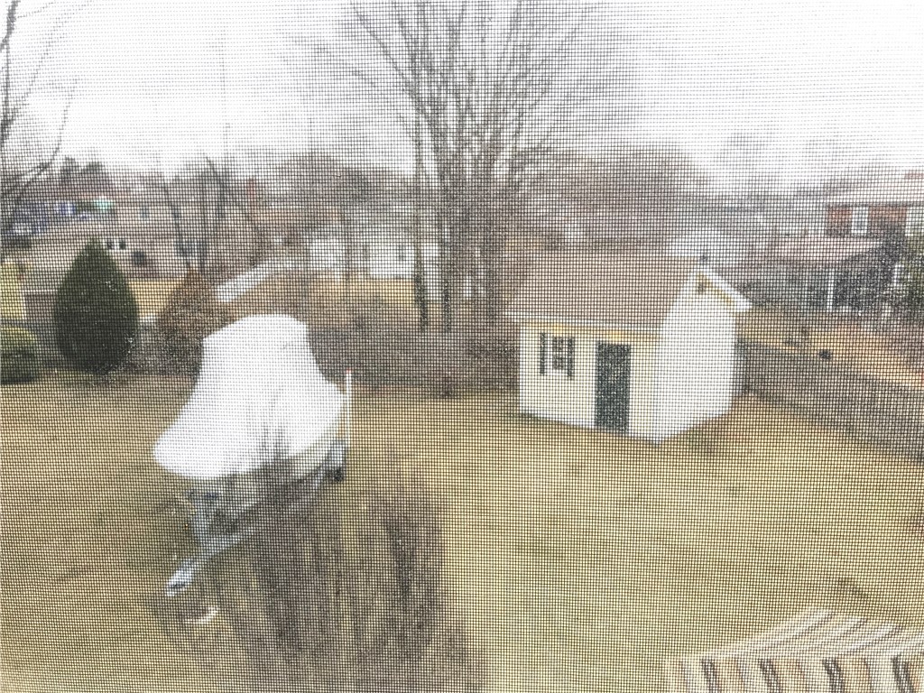 236 Mapleton Street Cranston, RI 02910 - Photo 6 of 40 Gallery Image 6