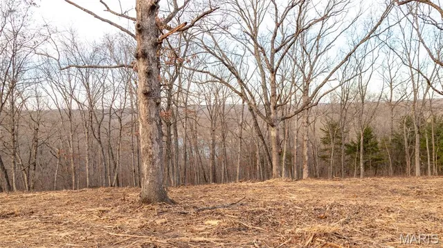 $42,400 | Tbd Indian Creek Drive, Rocky Mount, MO 65072