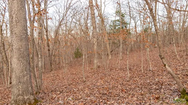 $42,400 | Tbd Indian Creek Drive, Rocky Mount, MO 65072