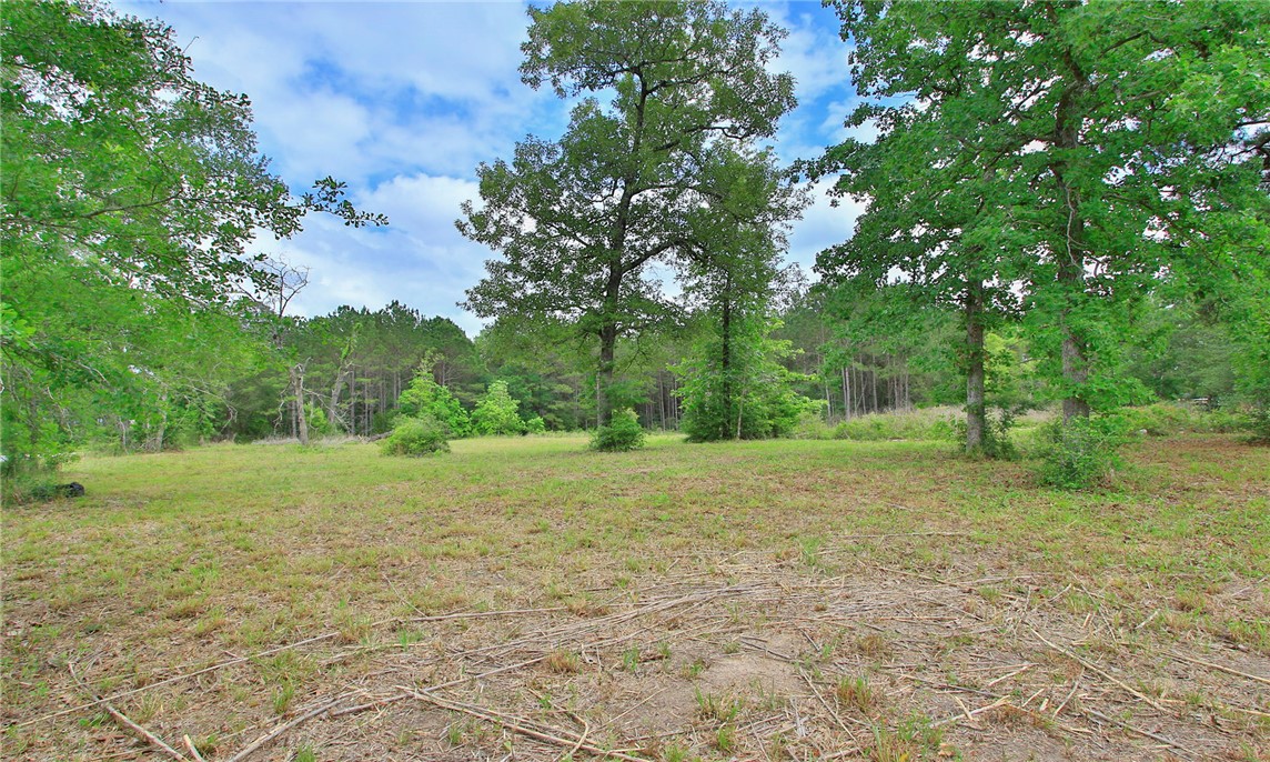 5914 Carter Road Waller, TX 77484 - Photo 31 of 41