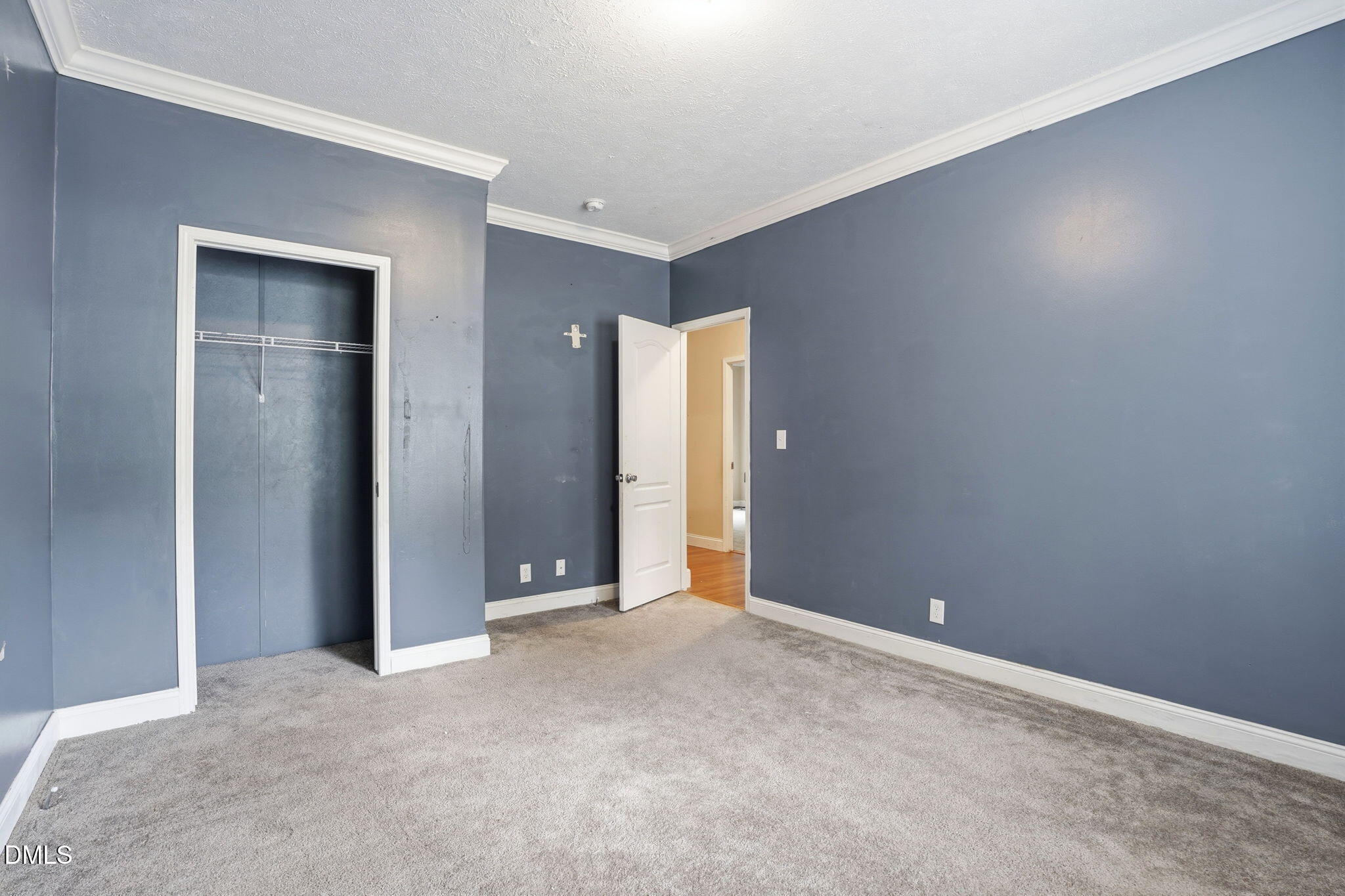 5293 Crabtree Road Nashville, NC 27856 - Photo 43 of 45 43-web-or-mls-DSC08903
