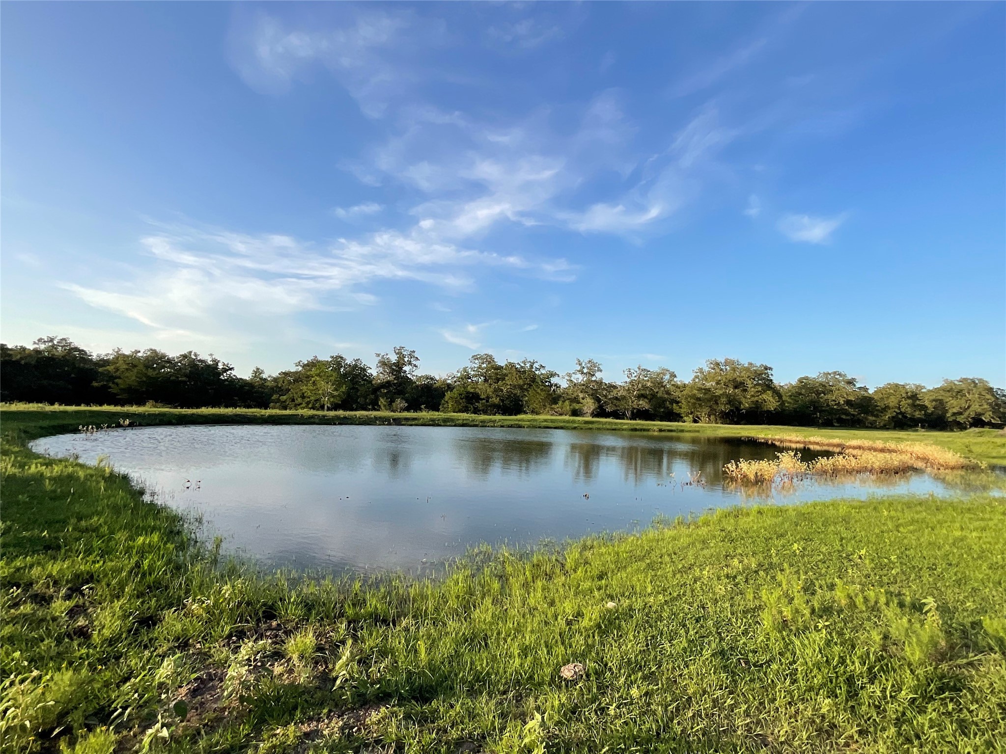 2826 Cattle Guard Road Cuero, TX 77954 - Photo 13 of 45
