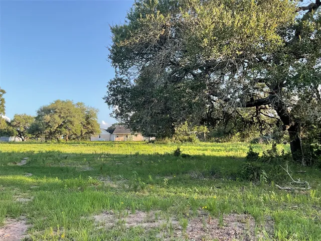a view of a trees in a yard