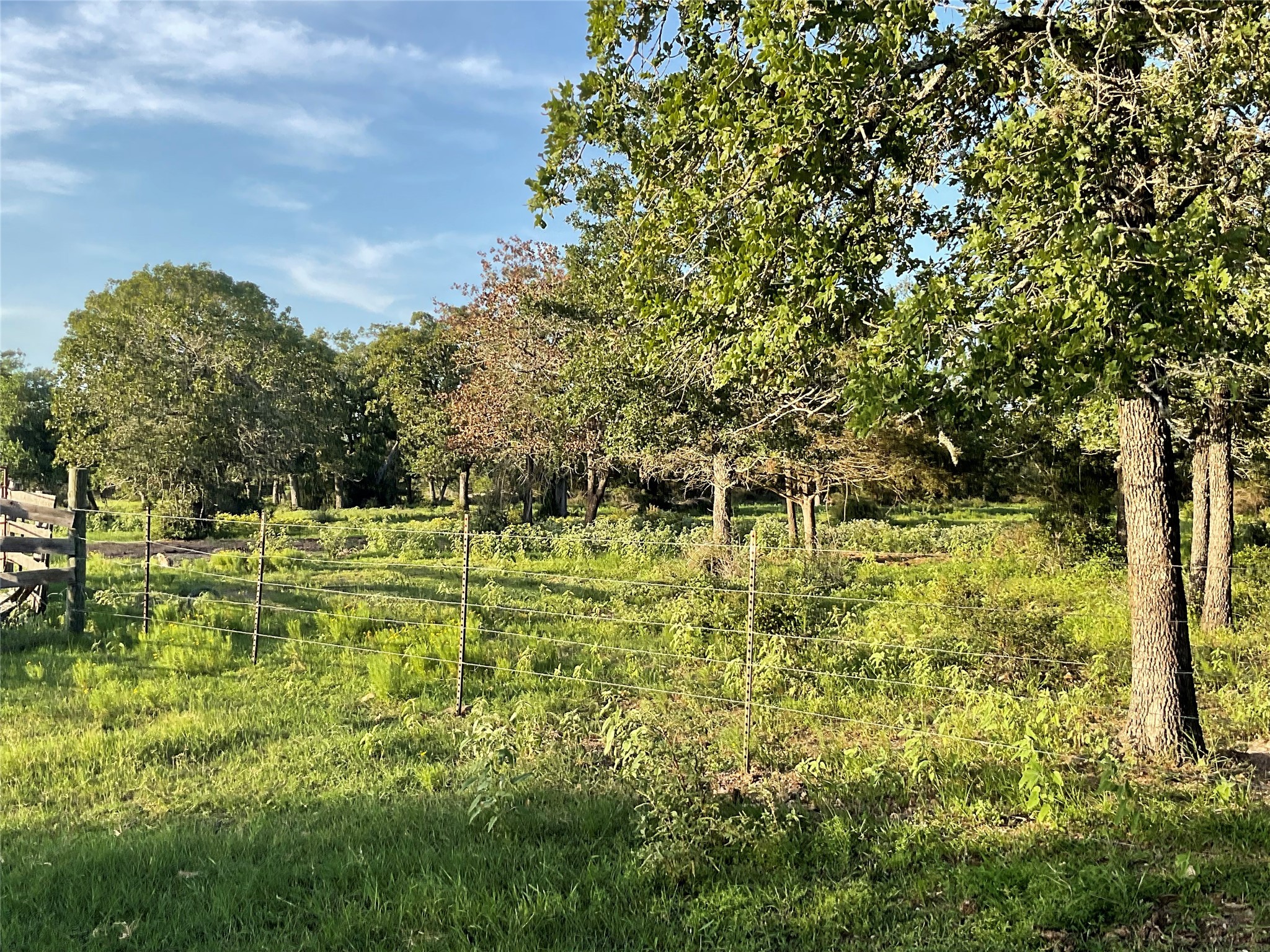 2826 Cattle Guard Road Cuero, TX 77954 - Photo 20 of 45