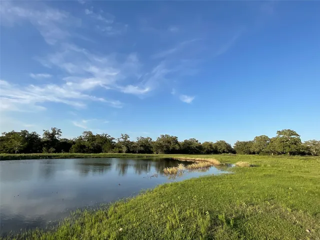 a view of a lake from a yard
