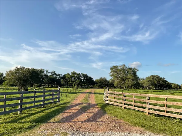 a view of a yard with wooden fence
