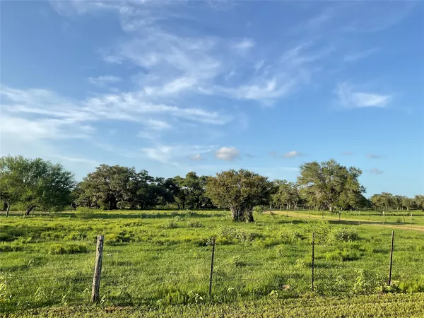 a view of a garden