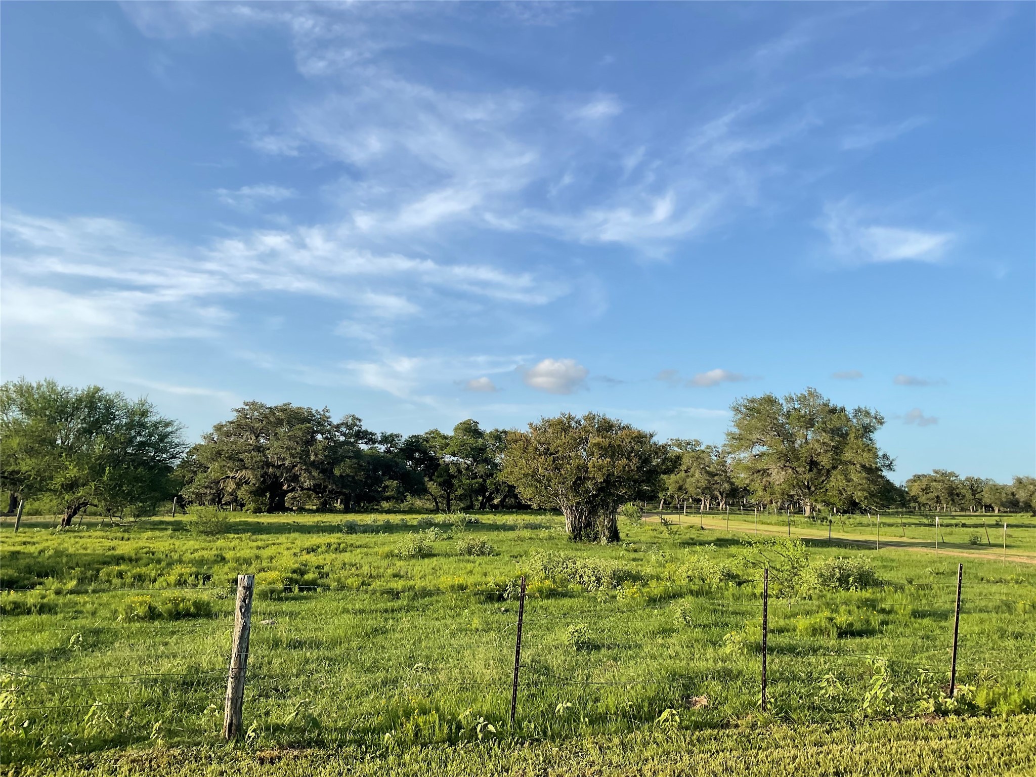 2826 Cattle Guard Road Cuero, TX 77954 - Photo 6 of 45 a view of a green field with wooden fence