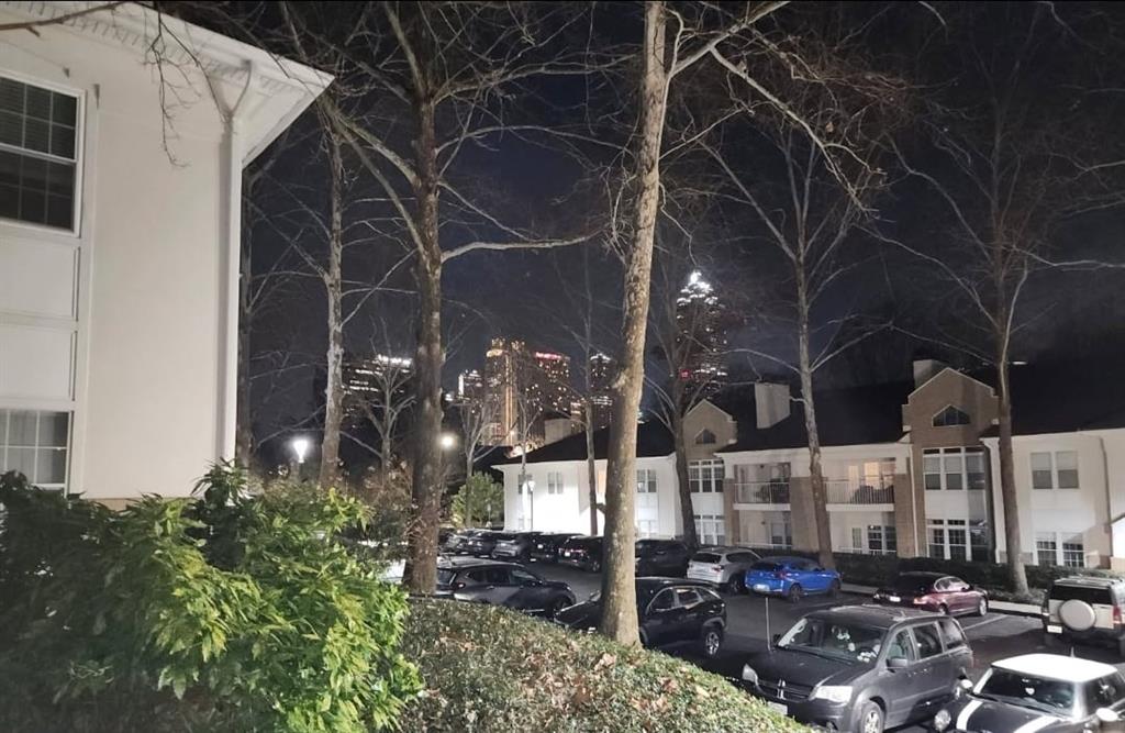 240 Renaissance Parkway Northeast, Unit 116 Atlanta, GA 30308 - Photo 41 of 42