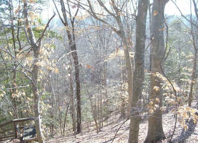 -tbd Dorrell Road Aylett, VA 23009 - Photo 4 of 4 Gallery Image 4