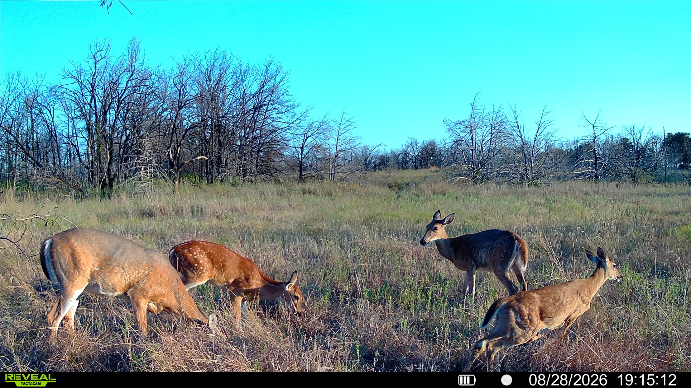Seward Road East Meridian, OK 73058 - Photo 18 of 26 Additional content