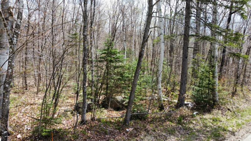 2029 Fox Hollow Road Carrabassett Valley, ME 04947 - Photo 7 of 10