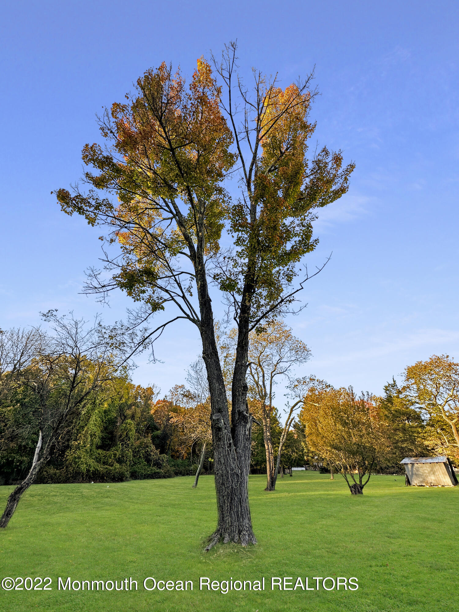 161 Berkshire Valley Road Kenvil, NJ 07847 - Photo 19 of 26 IMG_4609