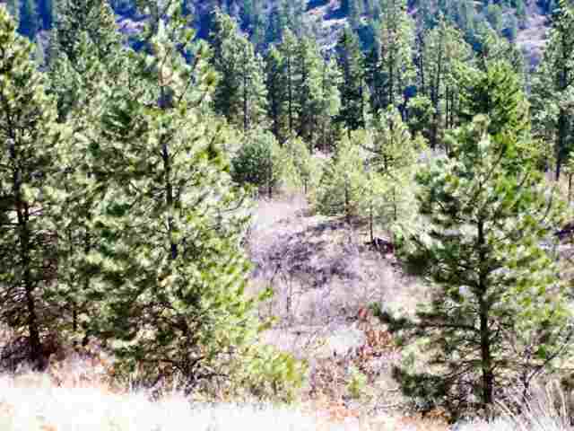 Lot E Off Bissell Road Colville, WA 99114 - Photo 2 of 2
