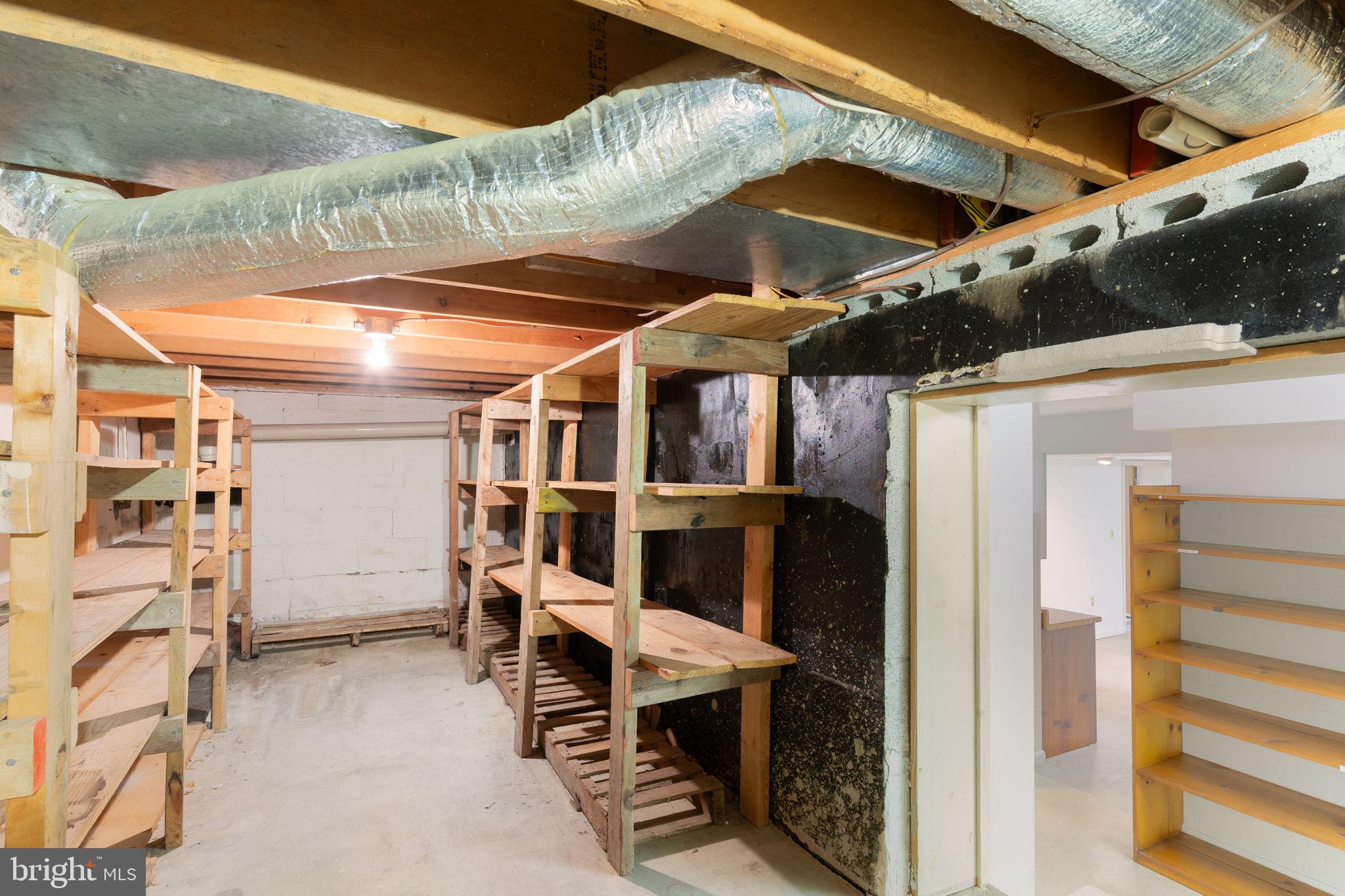 44742 Three Coves Road Hollywood, MD 20636 - Photo 61 of 89 Additional Storage
