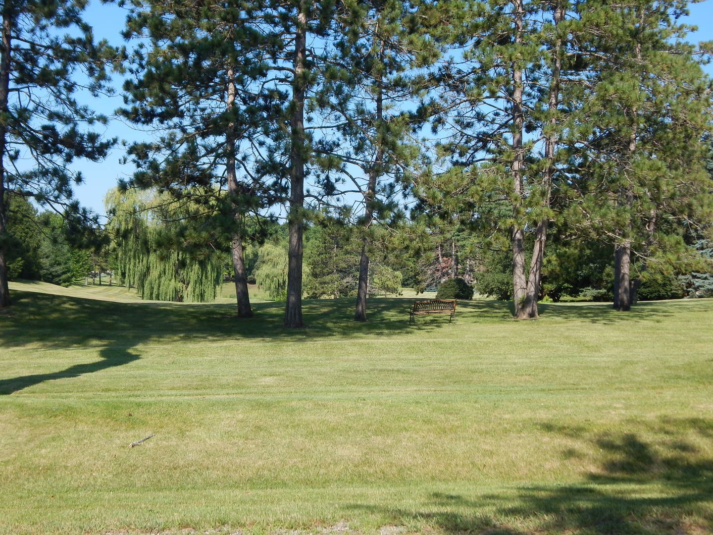 5912 Prairie Ridge Road Crystal Lake, IL 60014 - Photo 23 of 23 a view of pool with trees
