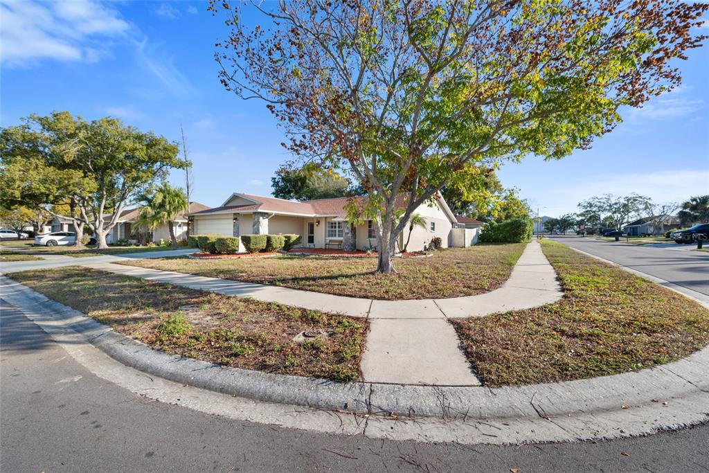 8714 Martinique Lane Port Richey, FL 34668 - Photo 3 of 34 front view of a house with a yard