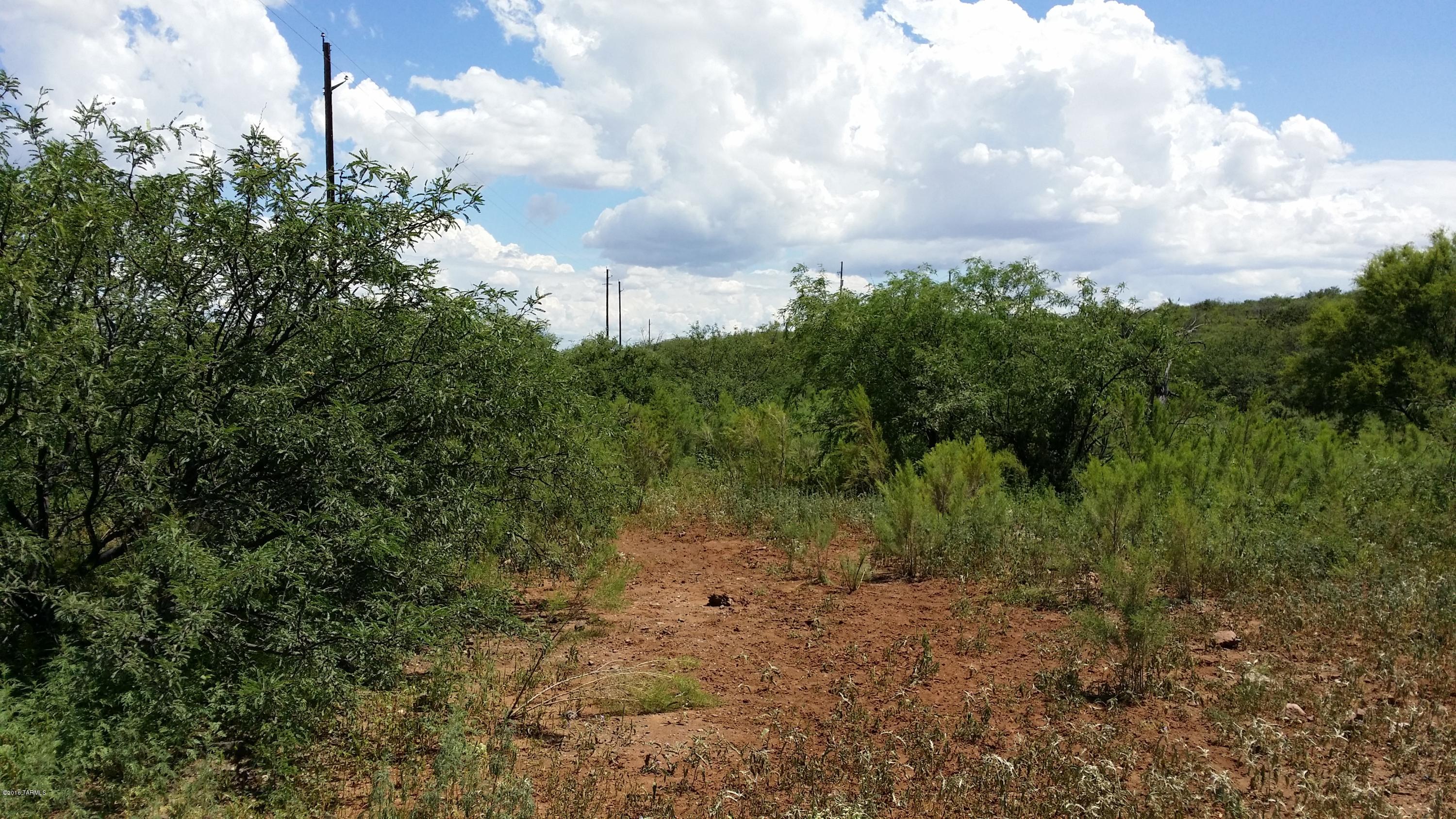 27.084-ac North Silver Creek Road Douglas, AZ 85607 - Photo 8 of 21