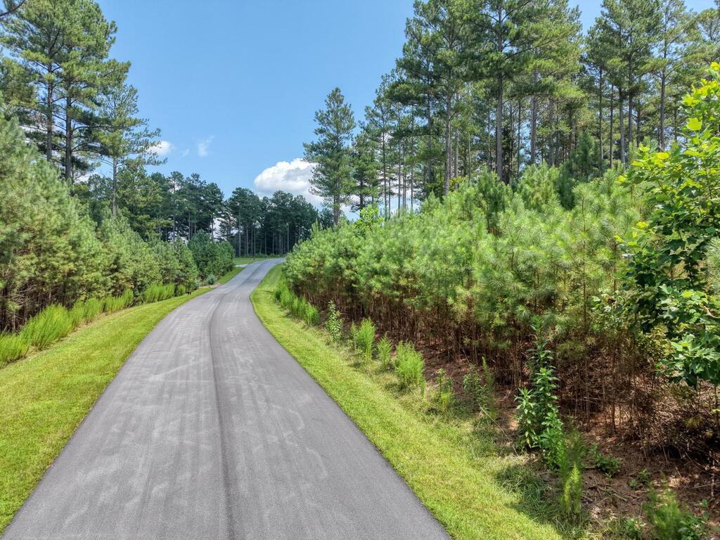 Lot 348 Loop Rise Blairsville, GA 30512 - Photo 16 of 30 Gallery Image 16