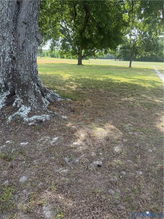 9380 Wakefield Road Wakefield, VA 23888 - Photo 2 of 11 Mature tree featuring textured bark and exposed ro