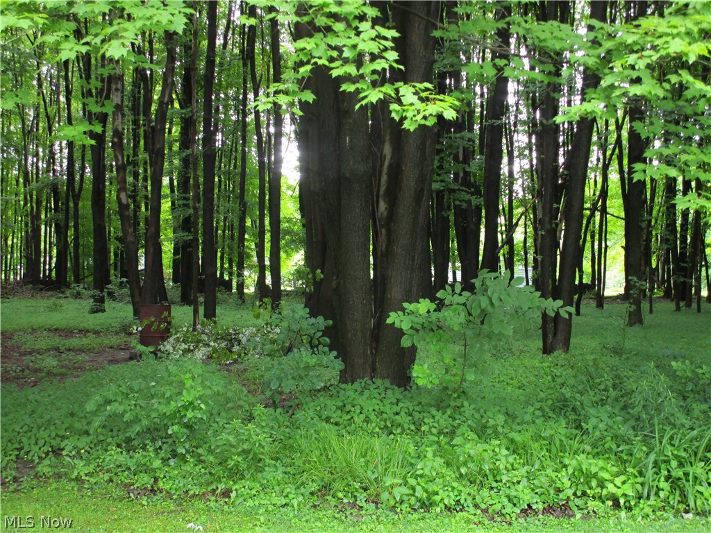 7750 Hurlbert Road Jamestown, PA 16134 - Photo 19 of 19 Gallery Image 19