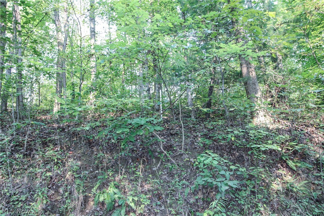44012 West Union Road Sardis, OH 43946 - Photo 27 of 30 Gallery Image 27