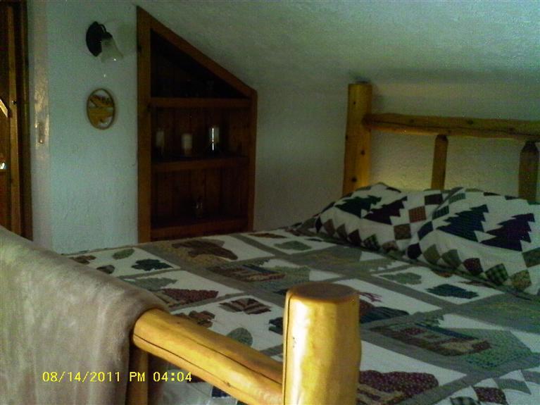 5533 East Butler Road Dowling, MI 49050 - Photo 21 of 24 Additional Photo